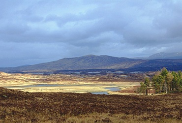 Rannoch Moor